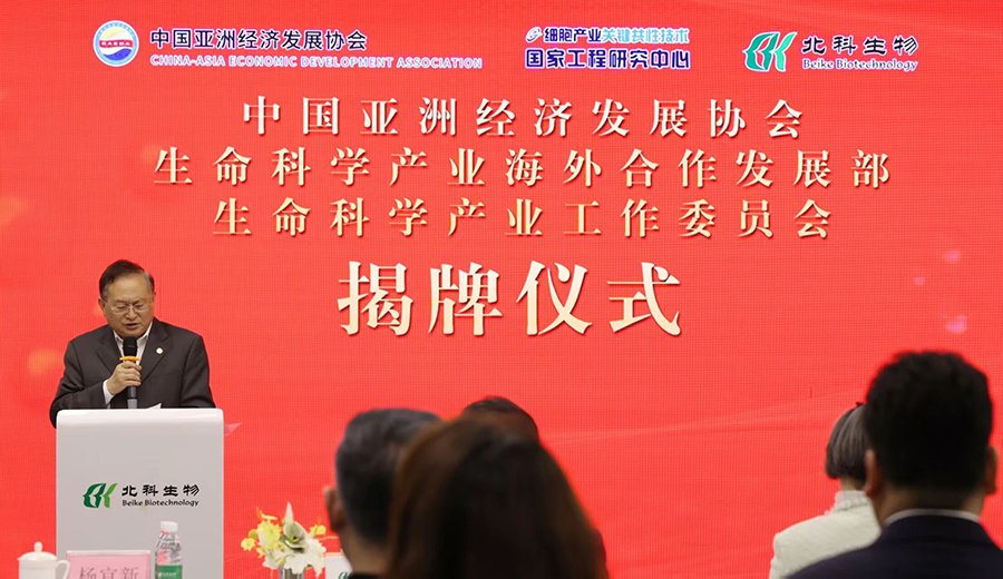 �����й滮��