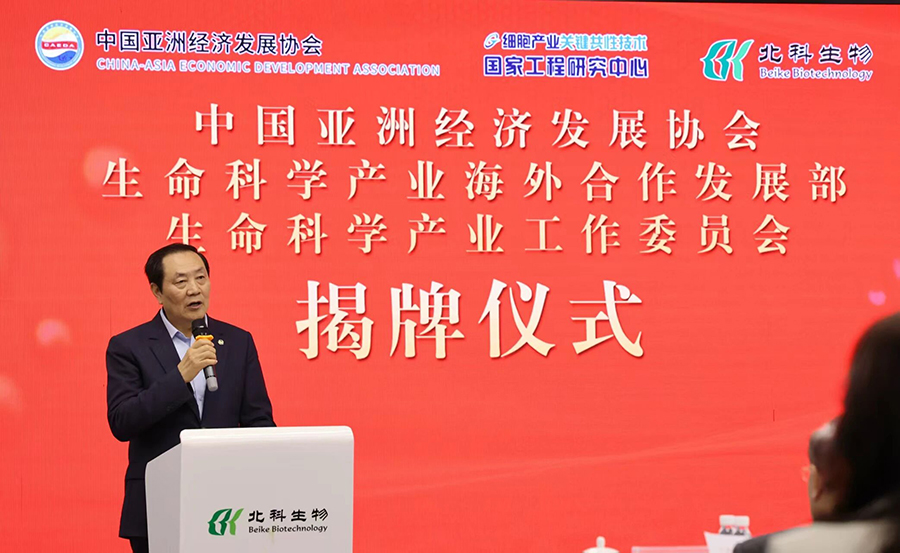 �����й滮��