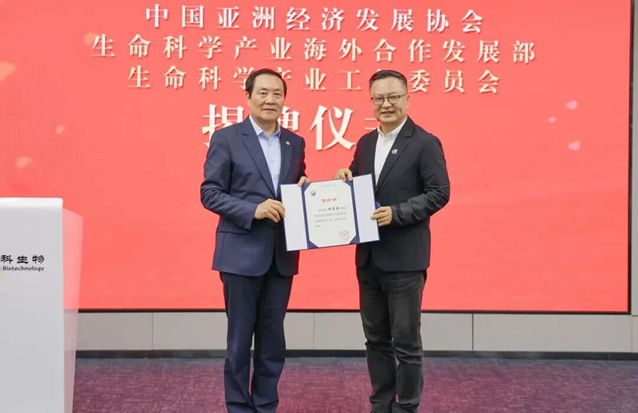 �����й滮��