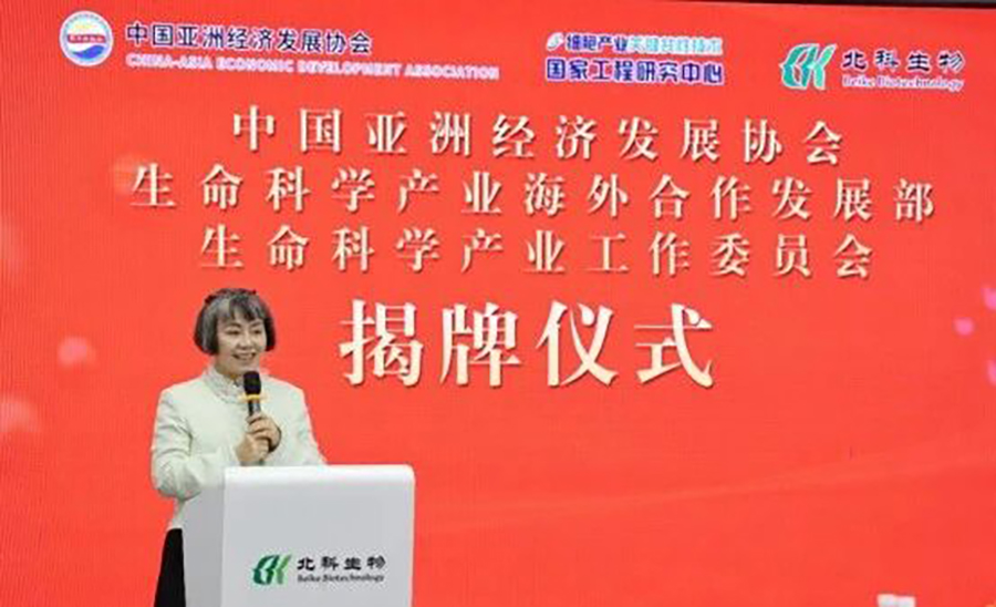 �����й滮��