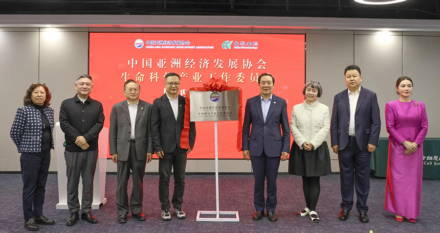 �����й滮��